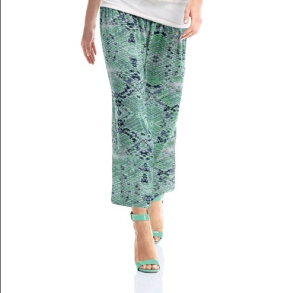 CAbi Long Reversible skirt - green side/blue side